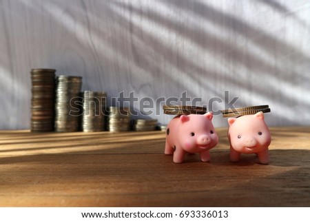 Business partnership concept, two piggy carry coins, roll stair step of money on wood table, shadow from sunlight on white wooden pattern background 