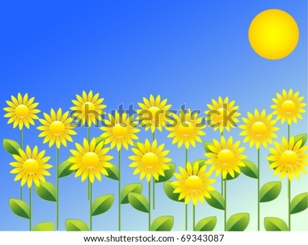 Spring background with sunflowers