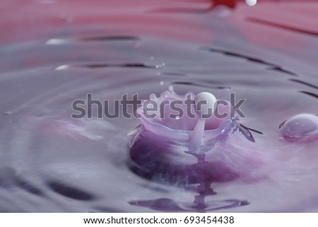 Milk drop in pink water