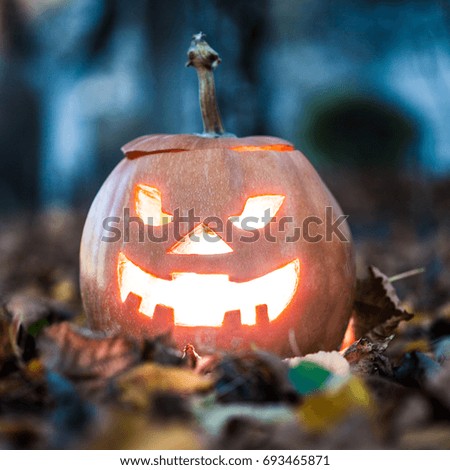halloween jack-o-lantern on autumn leaves
