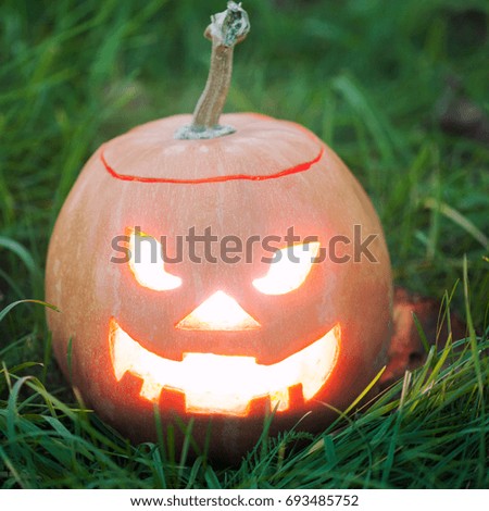 halloween jack-o-lantern on green grass