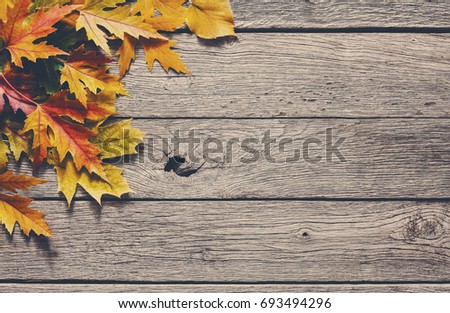 Autumn season background, yellow maple leaves on rustic wood background with copy space.