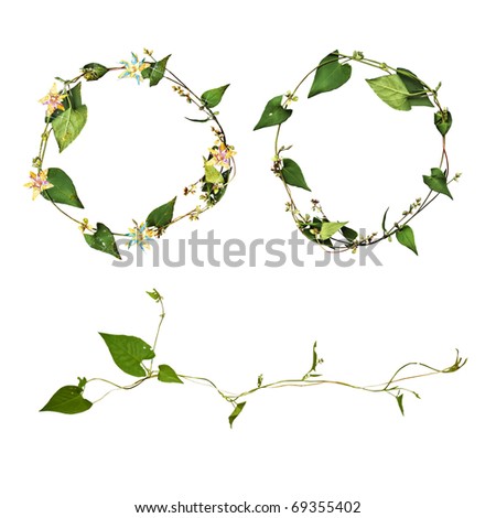 Clip-art: round frames with leaves and a brunch of leaves