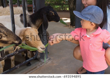 Asian beautiful mother is take care your cute baby feeding grass for sheep in the farm, Activities family to enhance the learning experience of children.