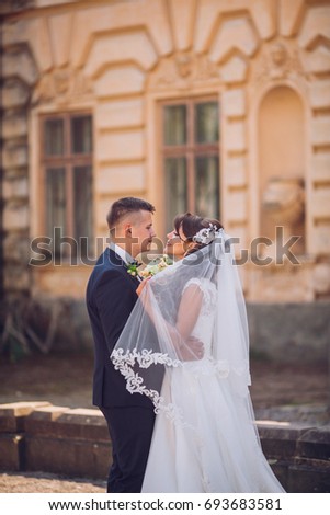 beautiful couple in wedding dress outdoors near the castle