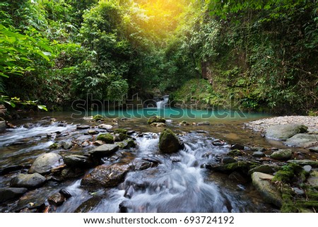 Waterfall landscape in Autumn at sunrise.
Travel destination at Toandeng waterfall,Sri Phangha National park ,southern Thailand.