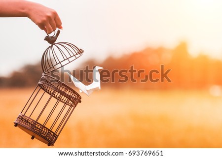 Paper bird flying from open birdcage and hand.