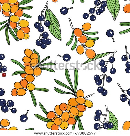 Vector seamless pattern with hand drawn sea buckthorn and bird cherry twigs. Beautiful food design elements, ink drawing Royalty-Free Stock Photo #693802597
