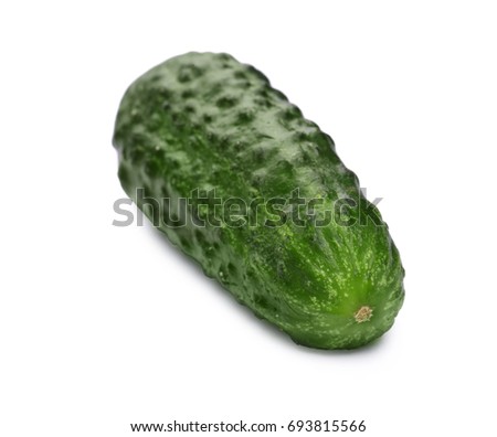 Fresh green cucumber, vegetables for healthy summer diet, cucumbers full of vitamins isolated on a white background.