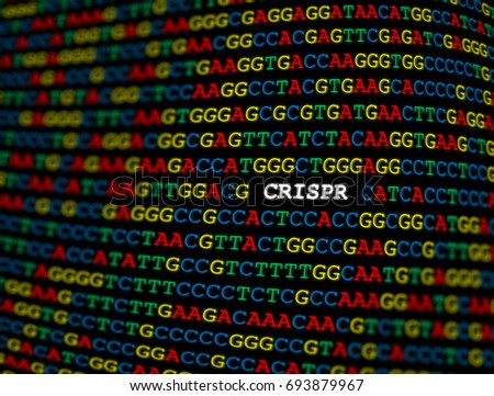 CRISPR locus on DNA sequence