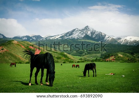 Horses in a field.
Mountain scene at Jeti Oguz, Kyrgyzstan.
