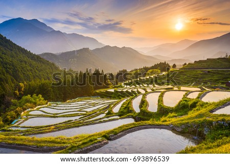 Rice terraces at sunset in Maruyama-senmaida, Kumano, Japan. Royalty-Free Stock Photo #693896539