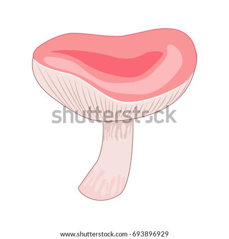 Cartoon russule  mushroom isolated on white background. Vector illustration.