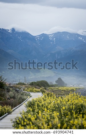 Amazing view of the nature in New Zealand, yellow flowers in the foreground with a wooden bridge leading the eye towards the majestic blueish mountains with snow spots on the top and clouds above them