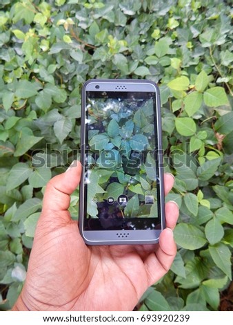 Hand Holding Up Mobile Phone Of Snapshot Of Green Leaf Landscape