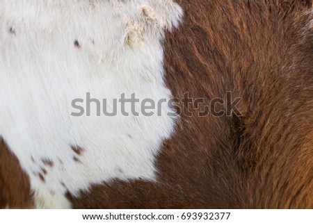 White And Brown  Horse Hide Pattern