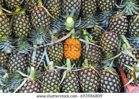Pineapple background/ hawaiian pineapples /Ananas comosus group background.
