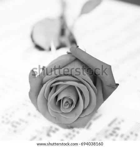 A black and white Rose over music note with vintage film effect