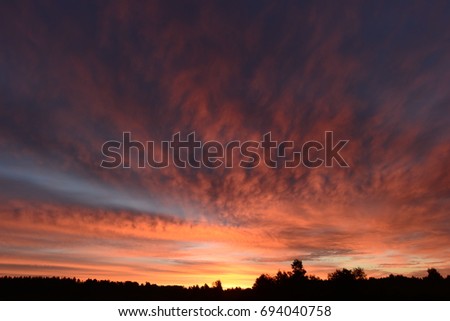 Beauty of nature summer colorful sky before dawn