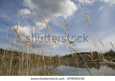 Lake, pond, dry grass, bushes, nature, autumn, Russia.