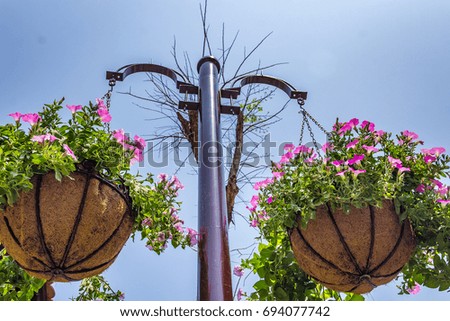 Two pink flower pots