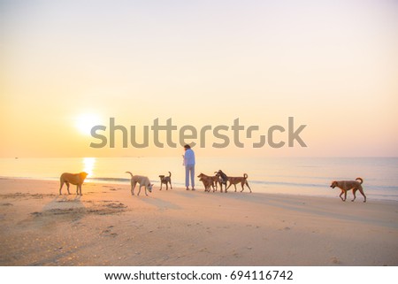 A young woman relaxing and playing with dogs at the beach with beautiful sunrise background. Image of girl and dogs haveing fun together at seaside with copy space. Friendship concept.