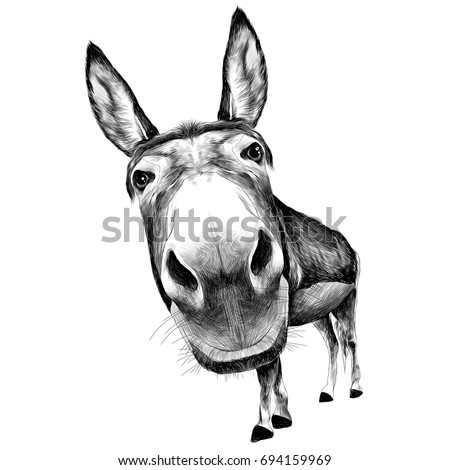 ass front view with a large head, looks black and white illustration monochrome Royalty-Free Stock Photo #694159969