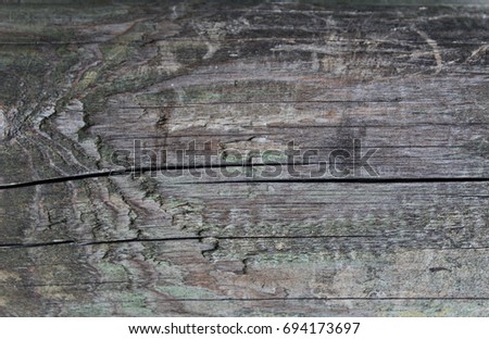 Old wooden log texture.