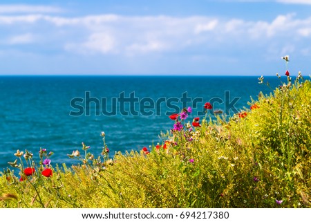 Blooming seashore, poppies and other wildflowers - the sea in the background and the sky. Sunny afternoon, a good picture for the background and adding inscriptions.