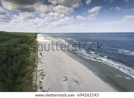 Aerial view of Baltic sea shore and forest near Krynica Morska in Poland. 