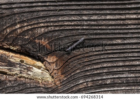 few blackened pine boards, from which a wooden building is made in the countryside. Photo close-up. An old rusty nail sticks out in the board