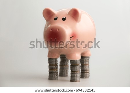 Pig piggy bank and coins,