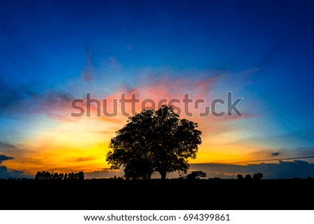 Alone  tree on meadow at sunset with sun and vivid sky.Silhouette tree.