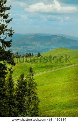 Green glade in a mountain landscape in the summer