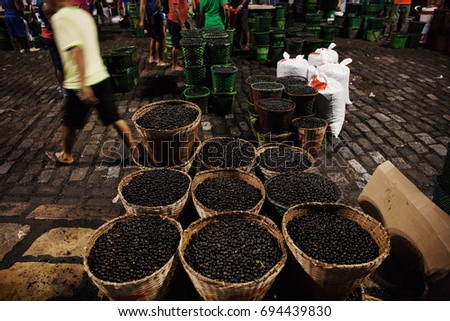 Lots of Acai, traditional fruit in this area, inside baskets in Belem, a city on the north area of Brazil. Acai os a small fruit from the Brazilian amazon, very rich in nutrients and antioxidants.
