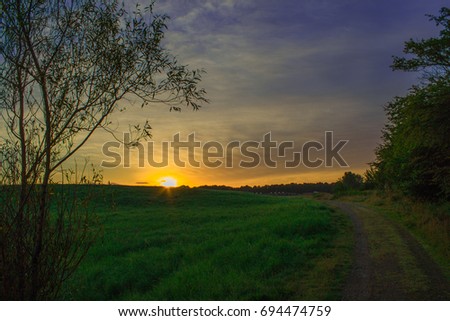 Sunrise with road and grassfield
