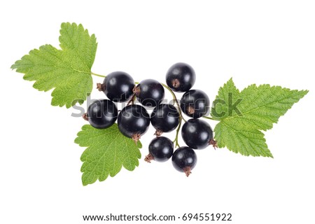Sweet shiny black currant berries with leaves, isolated on white. Close-up Royalty-Free Stock Photo #694551922