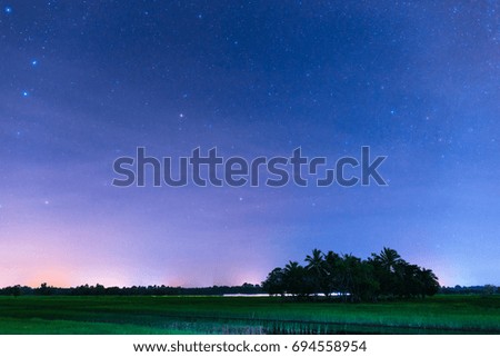 stars on sky and coconut foreground