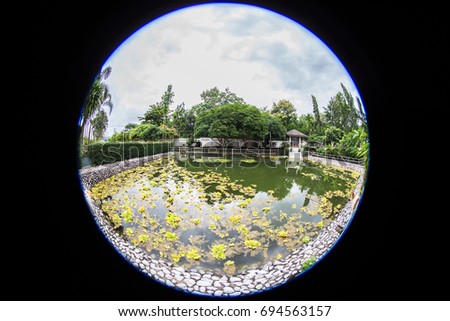 Outdoor environmental little pond in private isolated rural house which water lily fills floats snd fills water surrounded by green trees under grey cloudy sky. Fish eye lens uses for special effect .