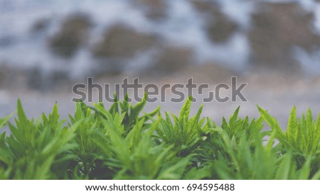 Green Nature Landscape