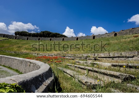 Poppies at Amphitheatre, Ruins of Ancient Roman City of Pompeii