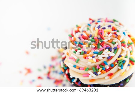 Close Up of Festive Cupcake Frosting Top with Sprinkles