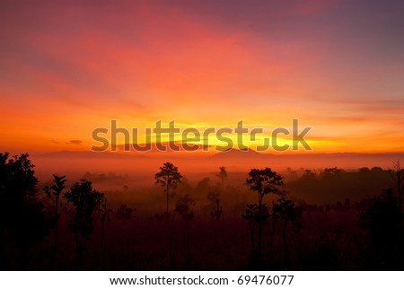 Sunrise in Tung salang luang