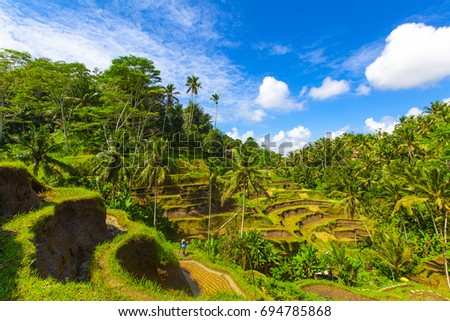 Tegalalang Rice Terrace in Ubud, Bali, Indonesia. Royalty-Free Stock Photo #694785868