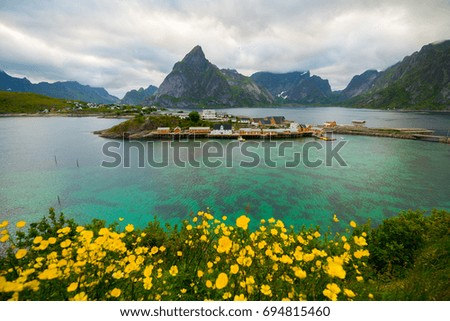 Landscape of Lofoten Island Summer Season,Norway