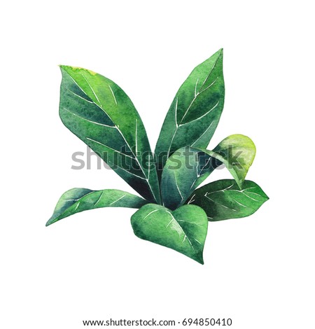 Watercolor composition of leaves isolated on white background