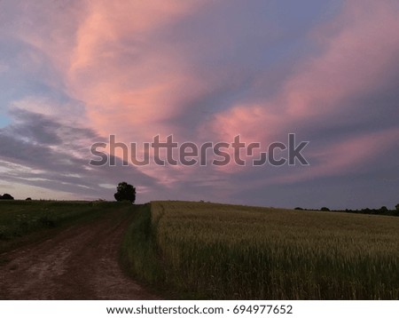 Nature and beauty concept. Picturesque sunset view of colorful summer sky above the rural typical Russian scenery. Wonderful scenic picture of wide fields and trees preparing to the autumn.