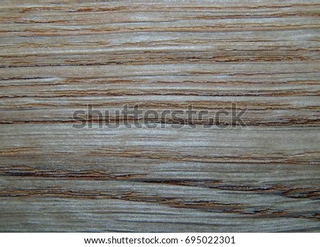 Wood texture. Oak tree sheet surface