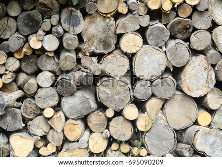 Stack of logs. A lot of cutted trunks Natural wooden background.