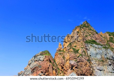The photo depicts a small rock with vegetation.
